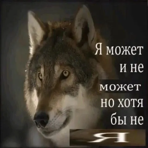 Я может, и не может