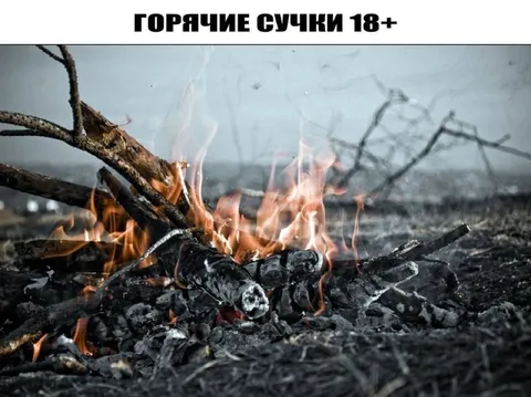 Горячие сучки 18+