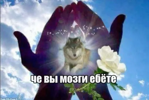 Волк в цветке возмущается