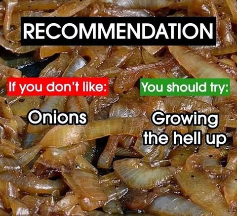 If You Don’t Like Onions