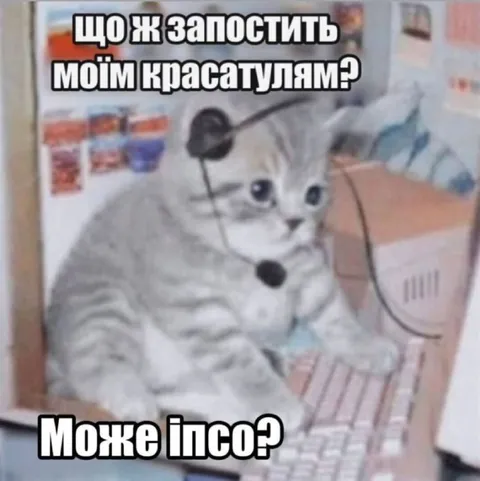Кіт питає, що запостити красуням