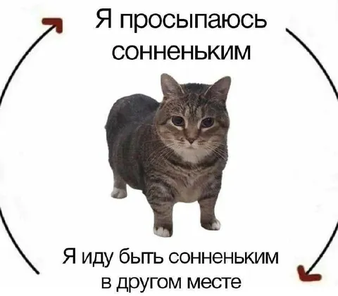 Просыпаюсь сонненьким