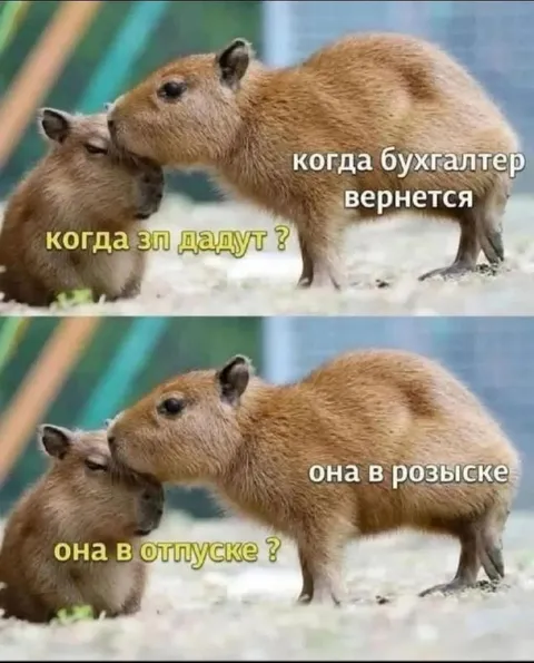Когда бухгалтер вернется