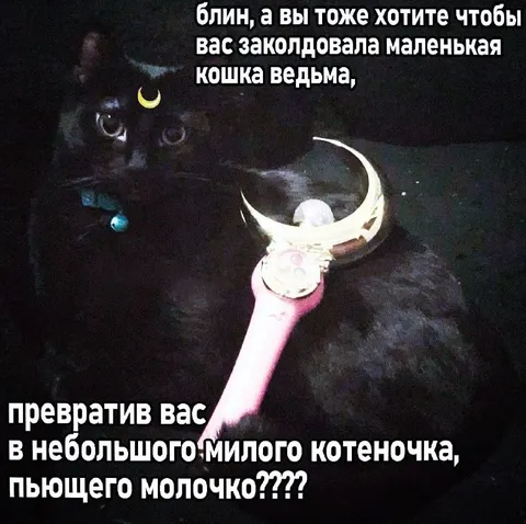 Маленькая кошка-ведьма