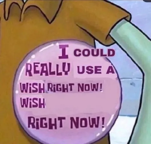 I Could Really Use a Wish