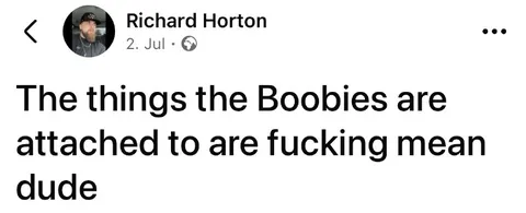 Boobies Attached to Mean Things