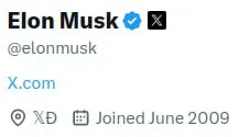 Elon Musk X Profile Screenshot
