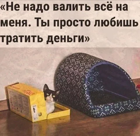 Кот, который любит тратить деньги