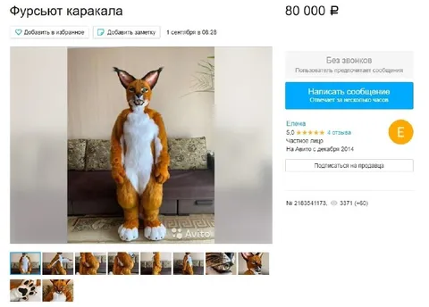 Фурсьют каракала за 80 тысяч