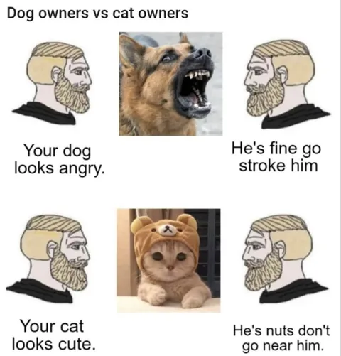 Dog Owners vs Cat Owners