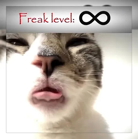 Infinite Freak Level
