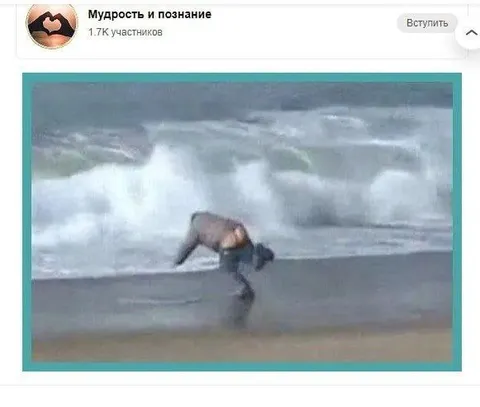 Тюлень выходит из воды