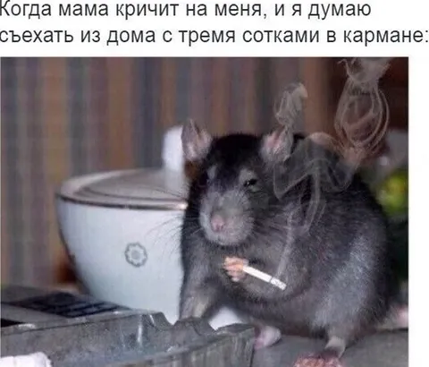 Съехать из дома с тремя сотками