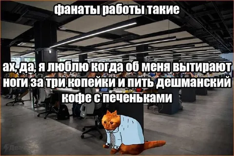 Фанаты работы мечты