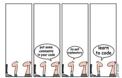 Put Some Comments in Your Code