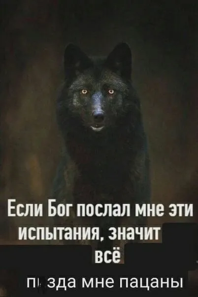 Если Бог послал испытания