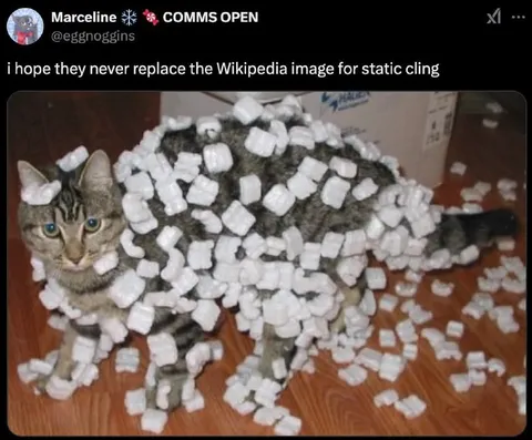Cat Covered in Static Cling