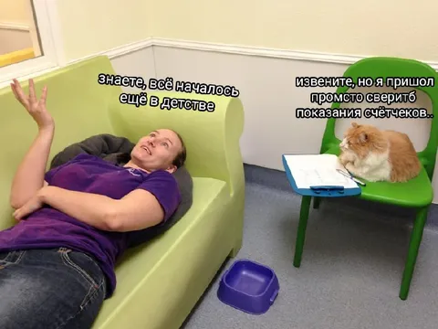Пациент и кот сверяют счётчики