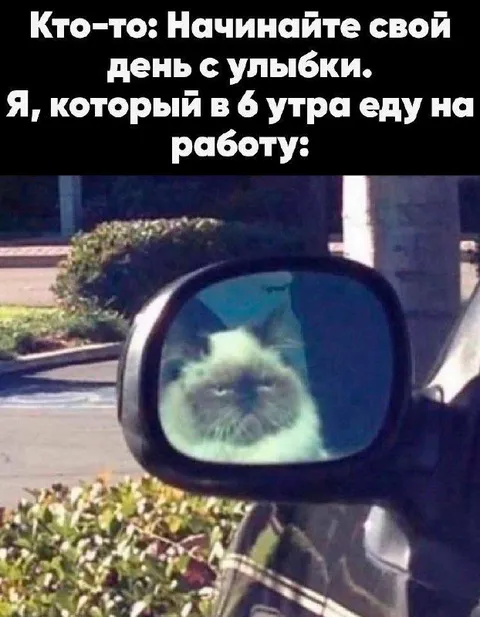 Утро по дороге на работу