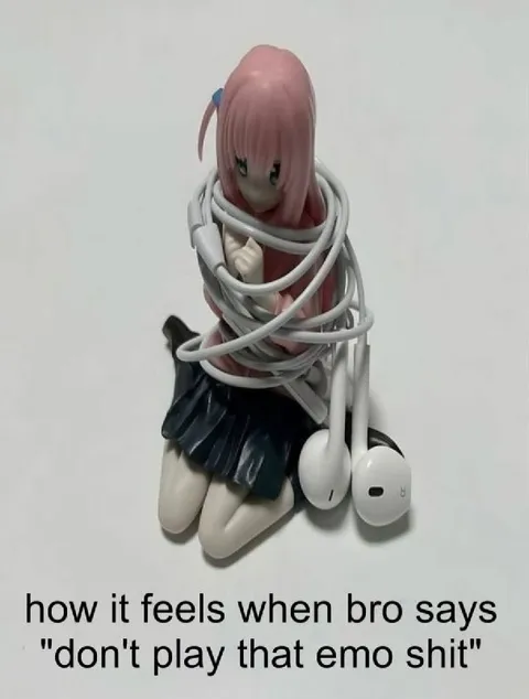 When Bro Hates Emo Music