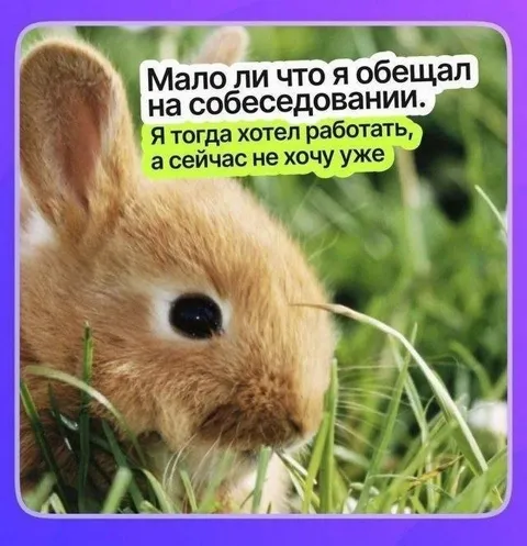 Не хочу работать после собеседования