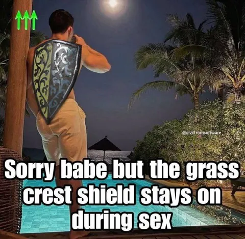 Crest Shield During Sex