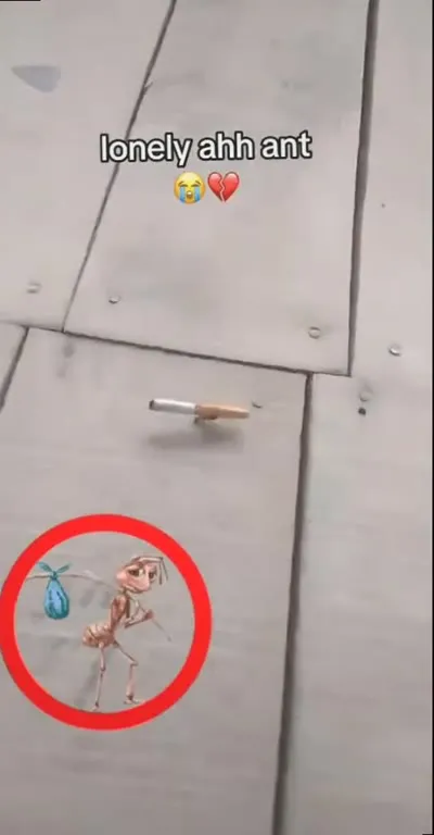 Lonely Ant Finds a Cigarette