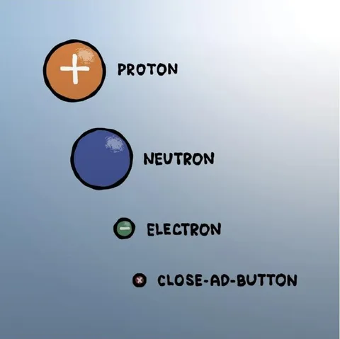 The Four Fundamental Particles