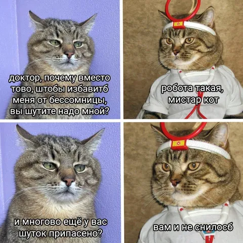 Кот-доктор лечит бессонницу шутками