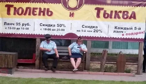 Полицейские на остановке «Тюлень и Тыква»