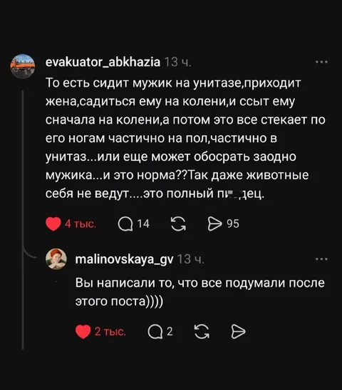 Мужик на унитазе и жена