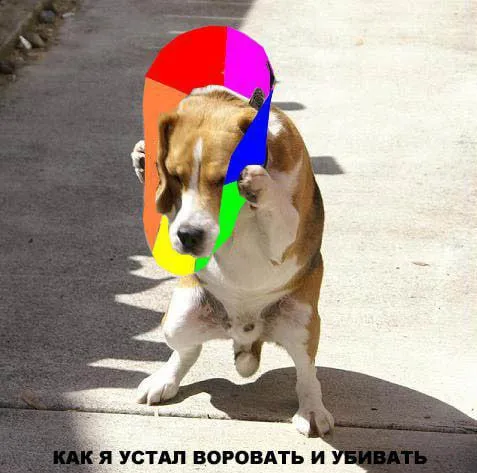 Устал воровать и убивать