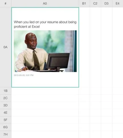 Lied About Excel Skills