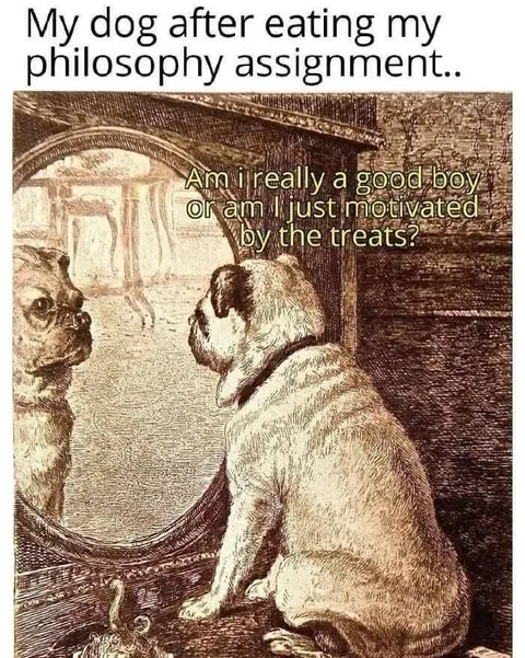Dog Questions His Motivation