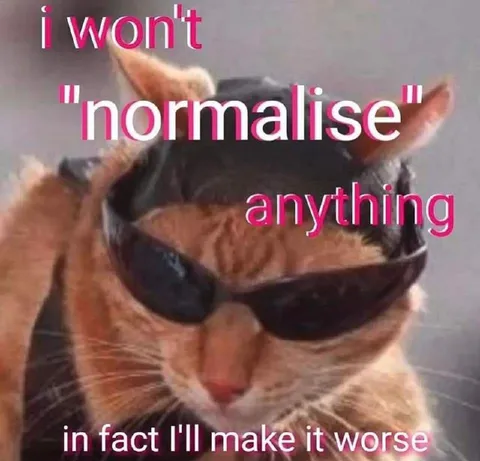 I Won't Normalise Anything