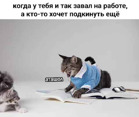 Когда на работе завал