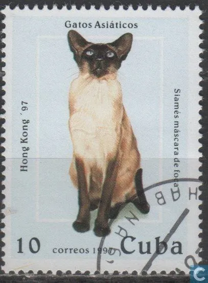 Gato siamés en estampilla