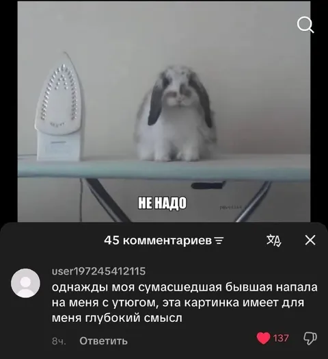 Бывшая с утюгом