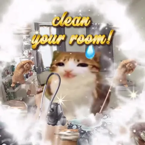 Clean Your Room Cat