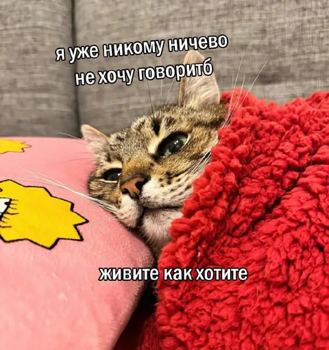 Кот больше не хочет говорить