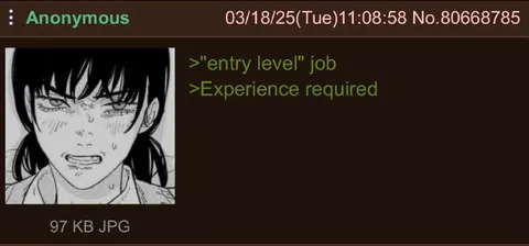 Entry Level Experience Required