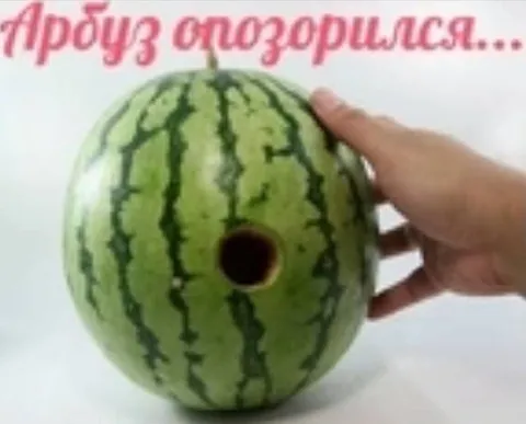 Арбуз поздоровился