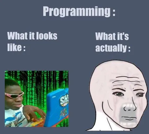 Programming Looks vs Reality