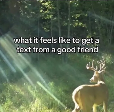 Text From a Good Friend