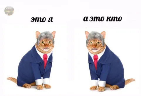 Это я, а это кто
