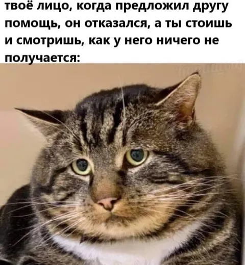 Когда друг отказался от помощи