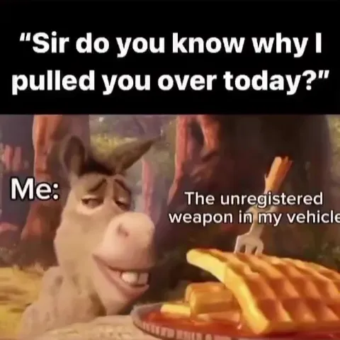 Unregistered Weapon in My Vehicle