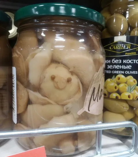 Гриб с лицом в банке