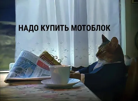 Кот решил купить мотоблок