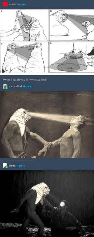 When I Catch You in My Visual Field
